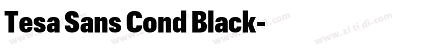 Tesa Sans Cond Black字体转换 Tesa Sans Cond Black字体转换